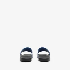 Check Slides