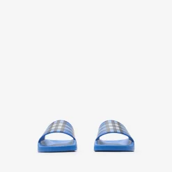 Check Slides