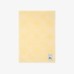 Wide Check Wool Silk Scarf